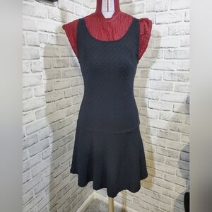 Metaphor Sleeveless Scoop Neck Mini Dress.  Size XS.